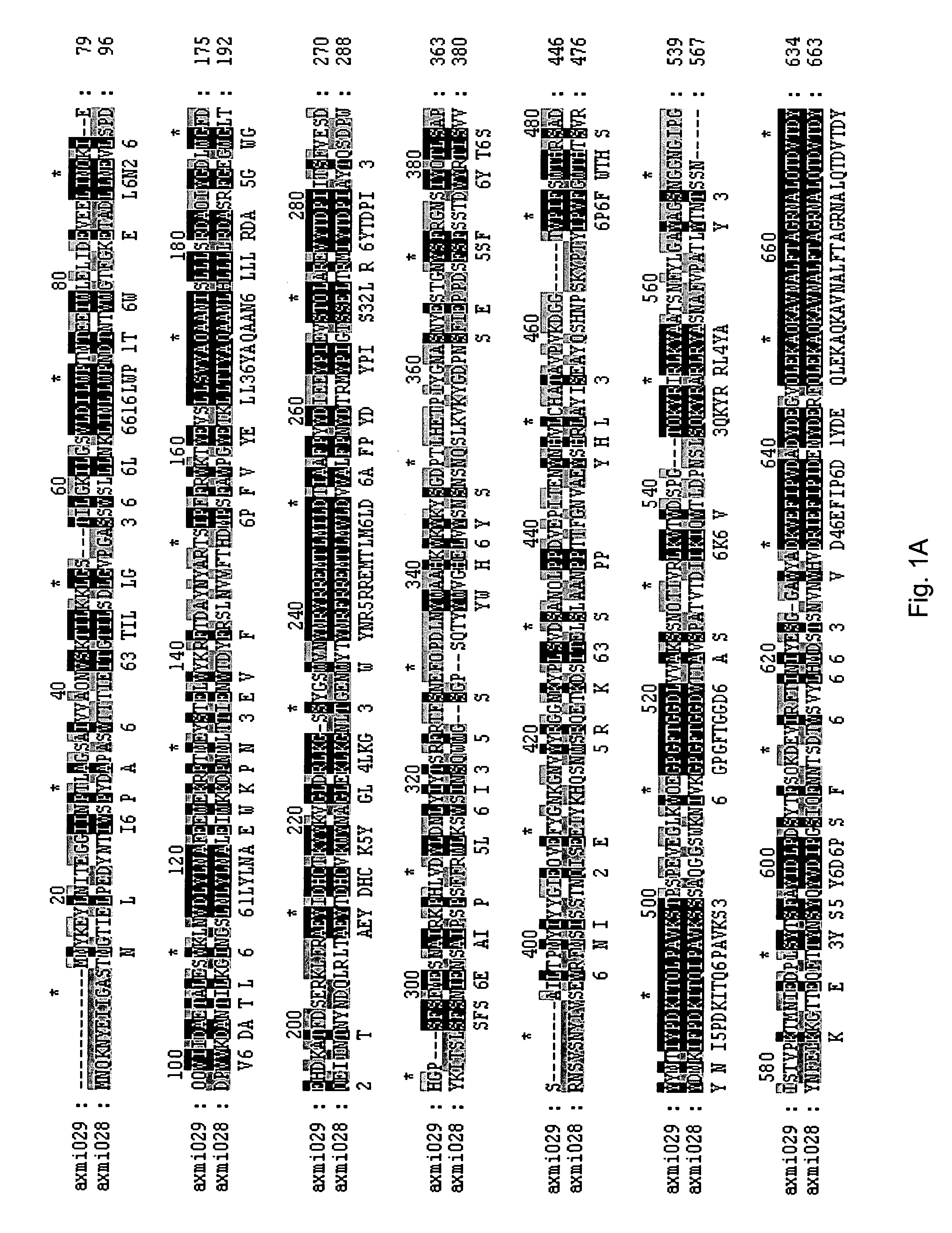 AXMI-028 and AXMI-029, a family of novel delta-endotoxin genes and methods for their use