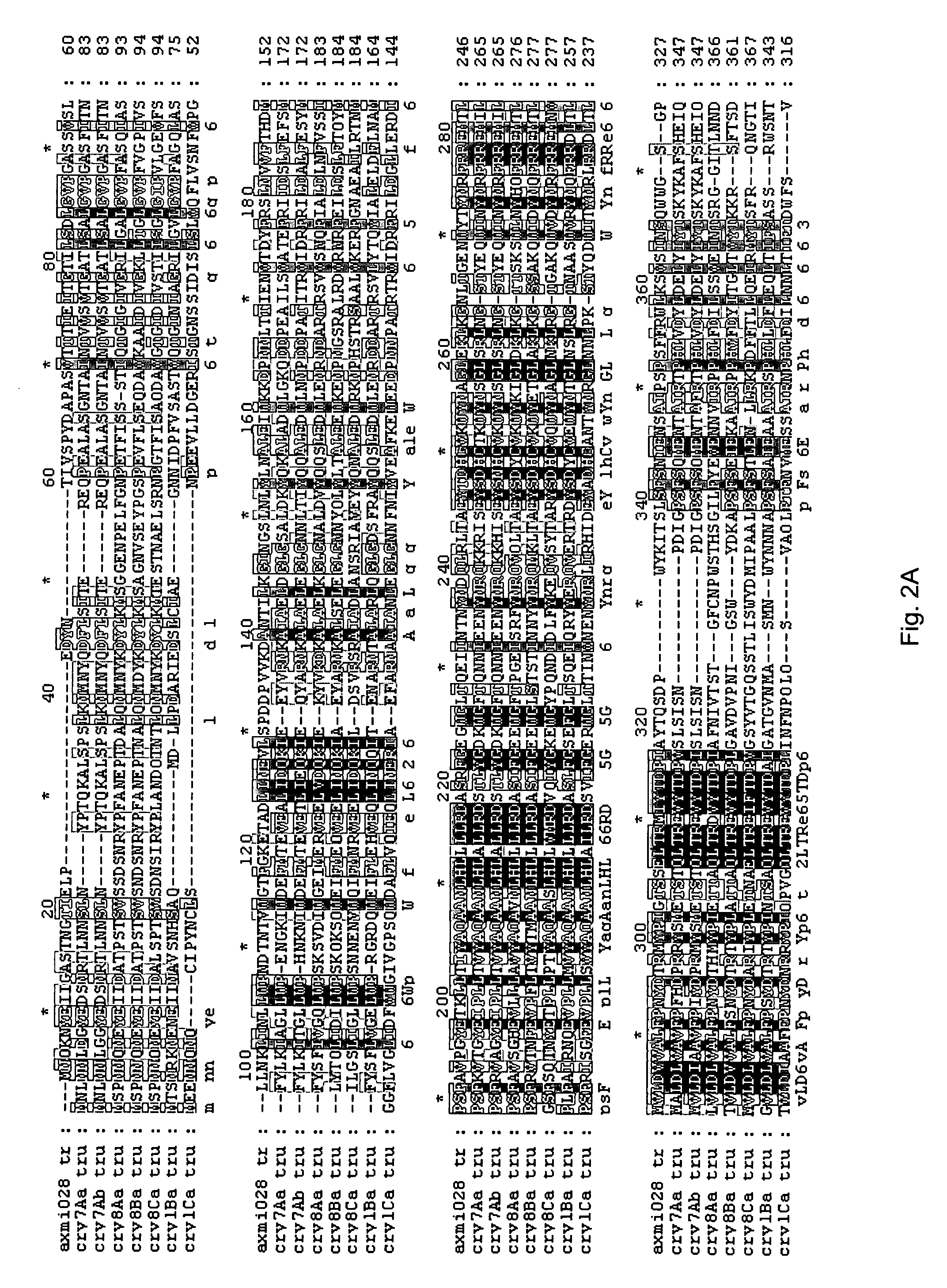 AXMI-028 and AXMI-029, a family of novel delta-endotoxin genes and methods for their use