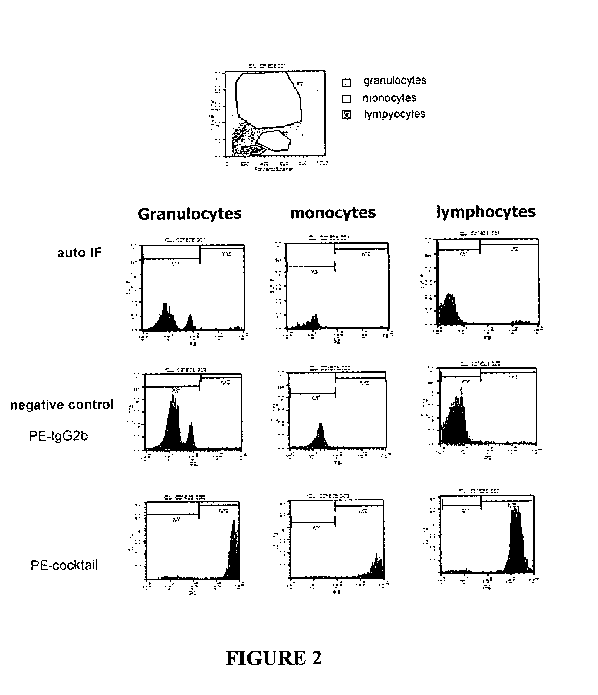 Methods and compositions for detecting rare cells from a biological sample