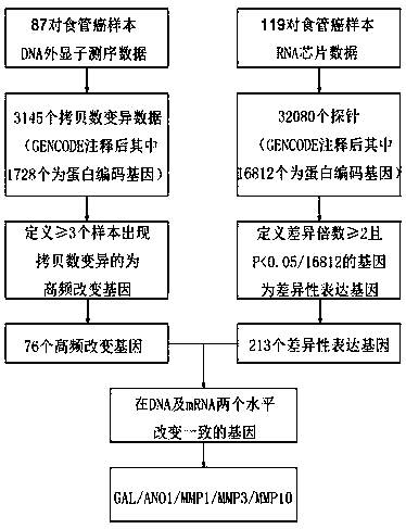 Biomarker for forecasting esophageal squamous cell carcinoma prognosis