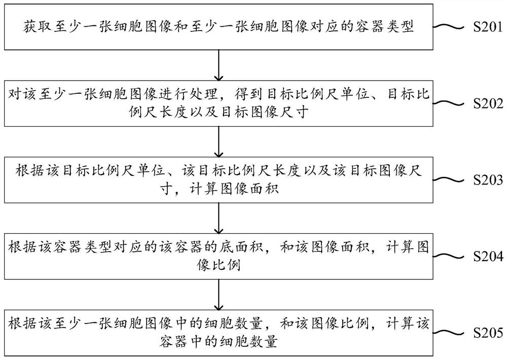 Counting method, device and equipment for cells in container and storage medium