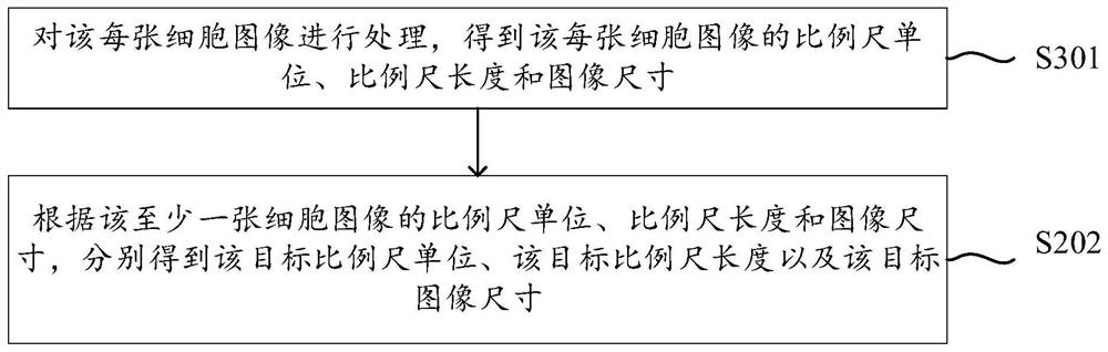 Counting method, device and equipment for cells in container and storage medium