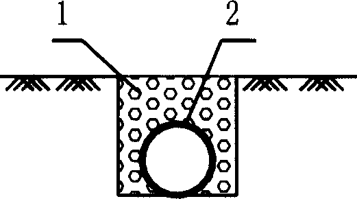 Integrated system for lakefront incipient rainwater collection, diffluence and ecological purification