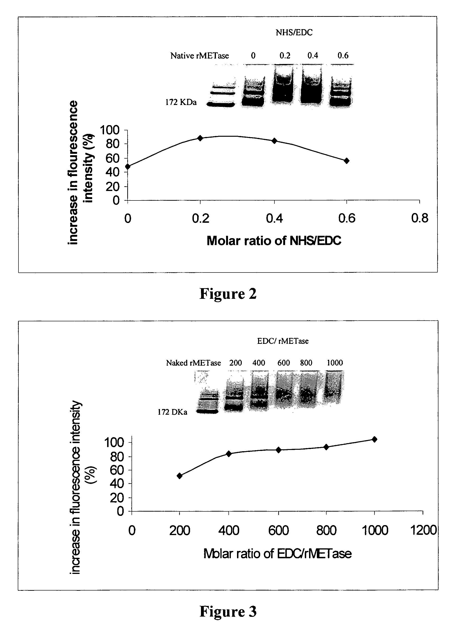 Methods for increasing protein polyethylene glycol (PEG) conjugation