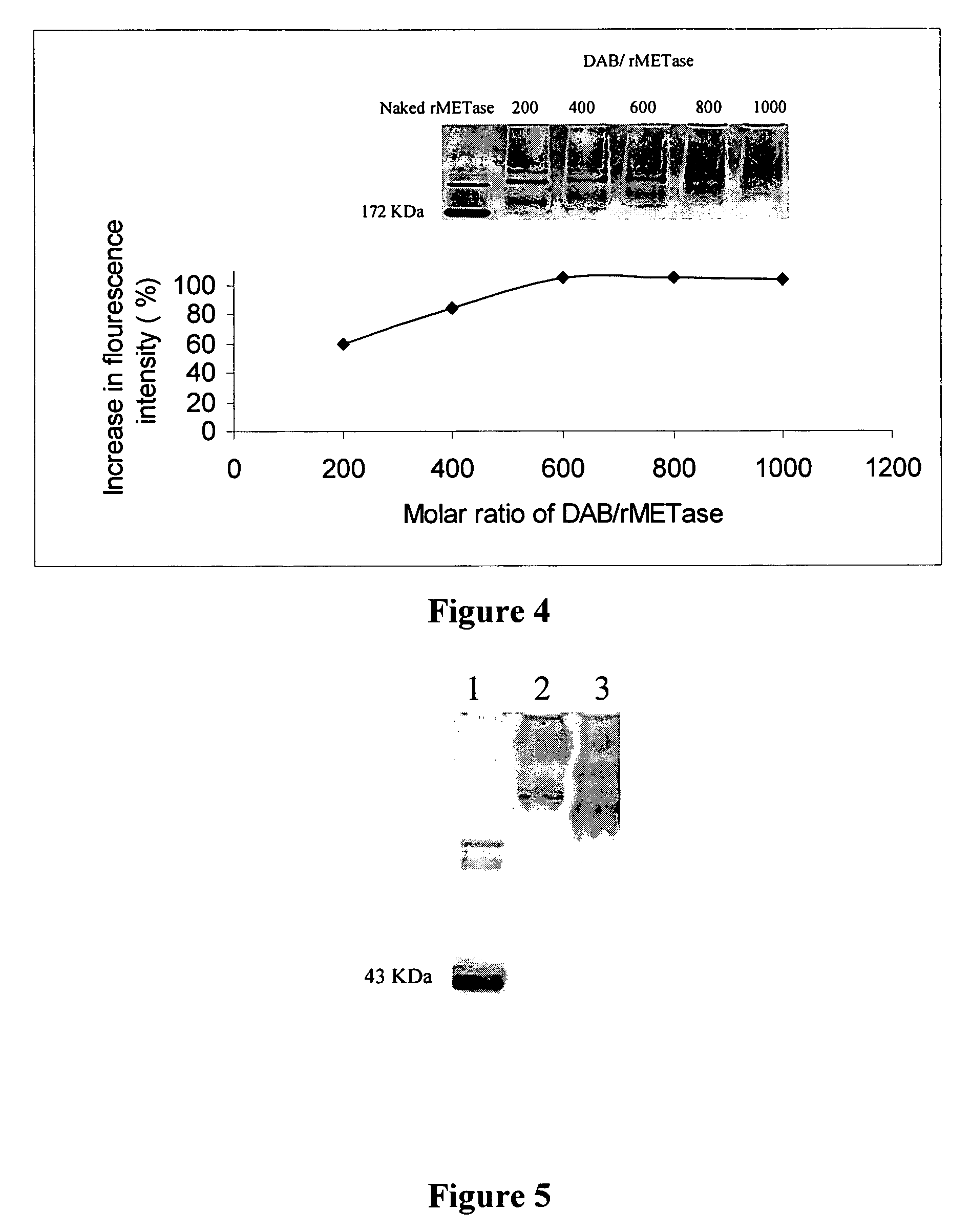 Methods for increasing protein polyethylene glycol (PEG) conjugation