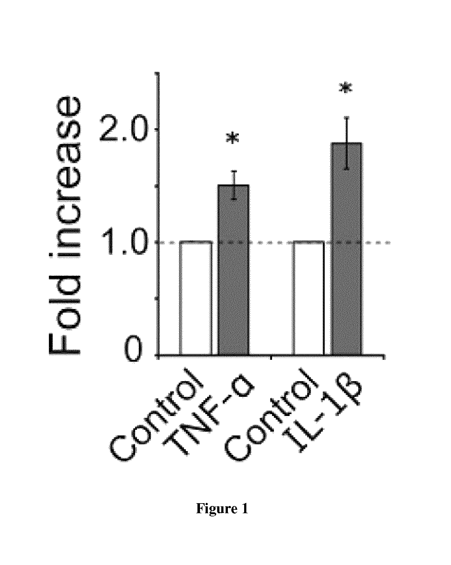 Neuroprotective peptides that inhibit interaction of palmitoyl acyl transferase zinc-finger dhhc type containing 17 (ZD17) and c-jun n-terminal kinase (JNK)