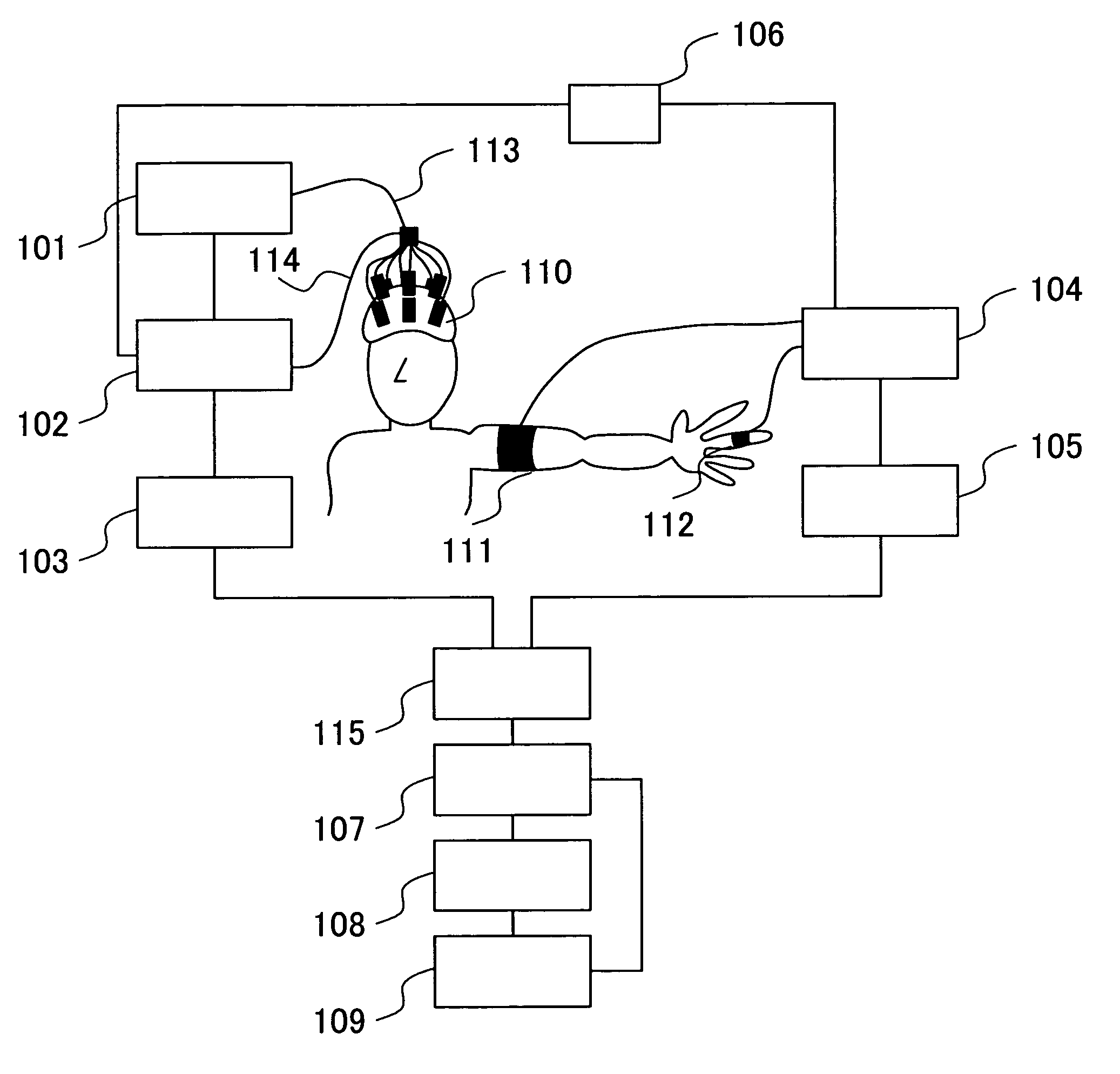 Biological optical measurement system