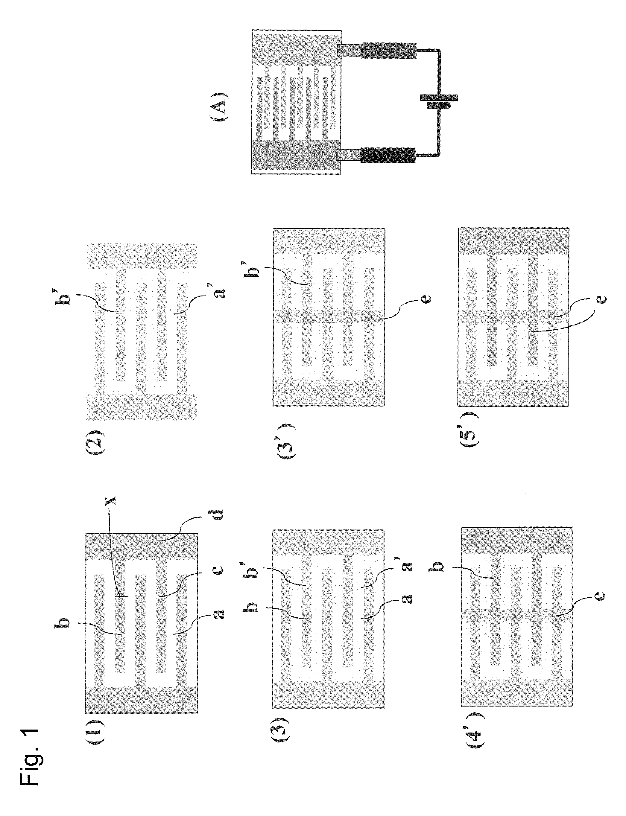 Substrate used for cell migration assays and method for cell migration assays