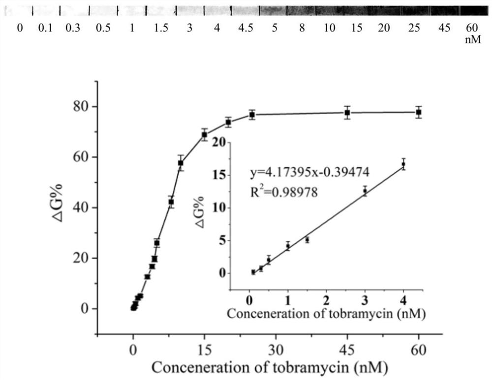 Tobramycin detection test paper based on aptamer and platinum modified gold nanoparticles