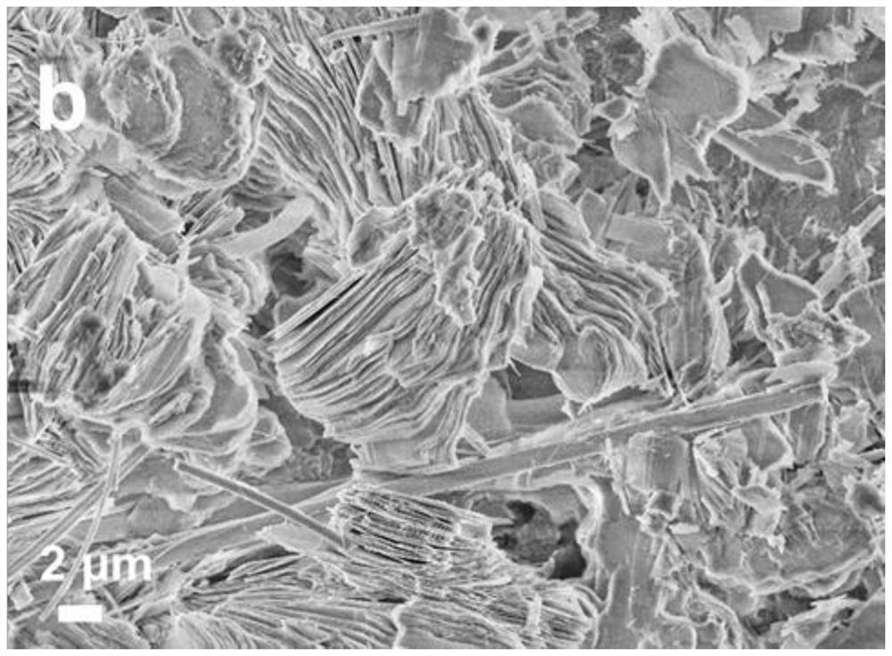 Electrolyte for aqueous zinc ion battery and application thereof