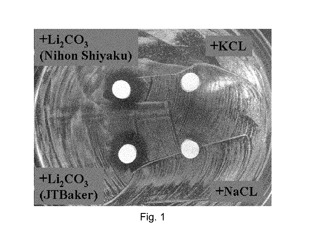 Antibacterial calcium-based materials