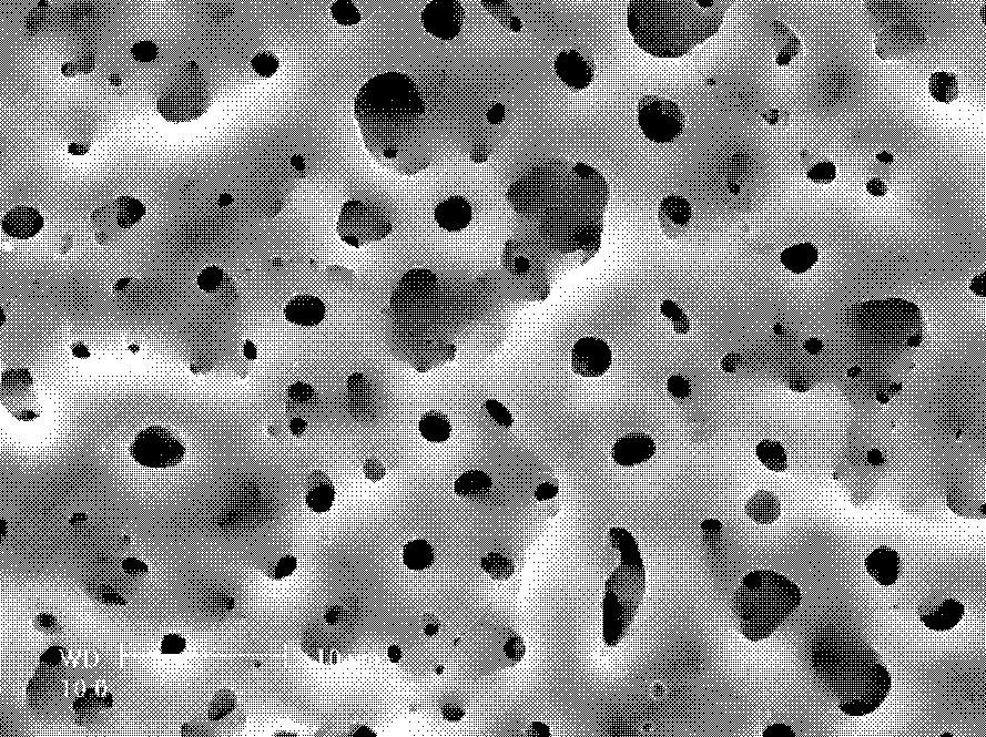 Preparation method of titanium surface porous structure layer bioactive ceramic membrane with low elasticity modulus