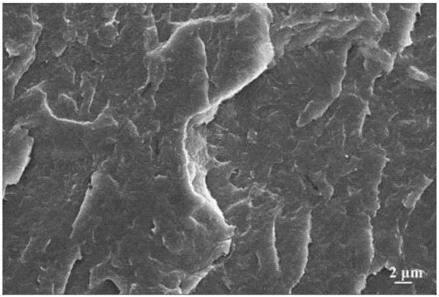 Preparation method of carbon nano material-modified polymer