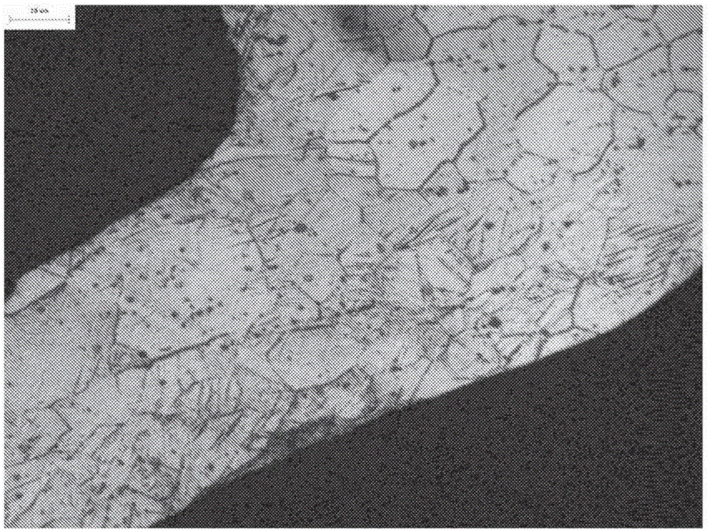 Bioerodible magnesium alloy microstructures for endoprostheses