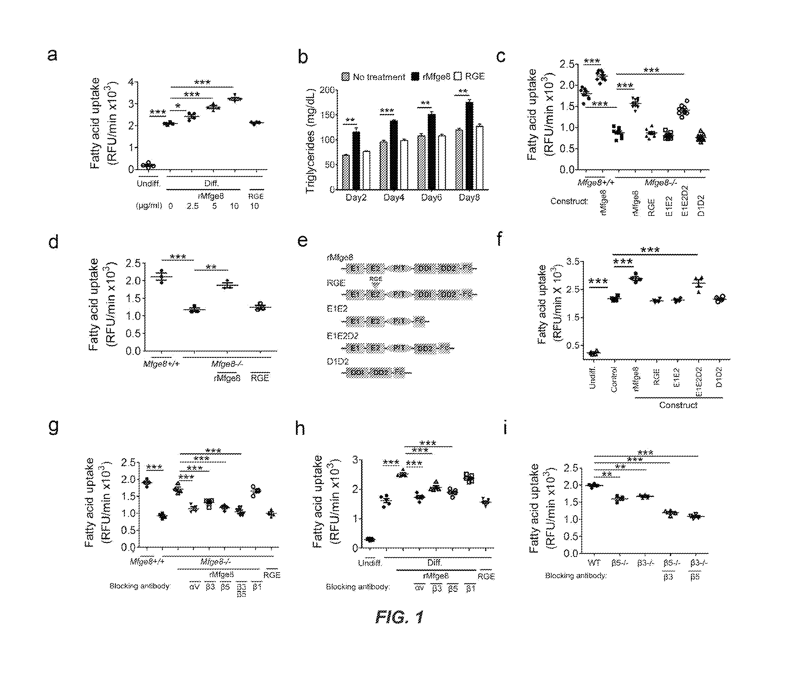 Milk fat globule epidermal growth factor 8 regulates fatty acid uptake