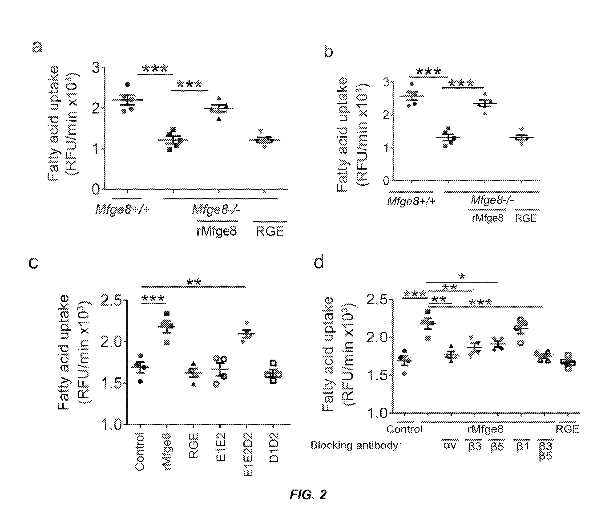 Milk fat globule epidermal growth factor 8 regulates fatty acid uptake