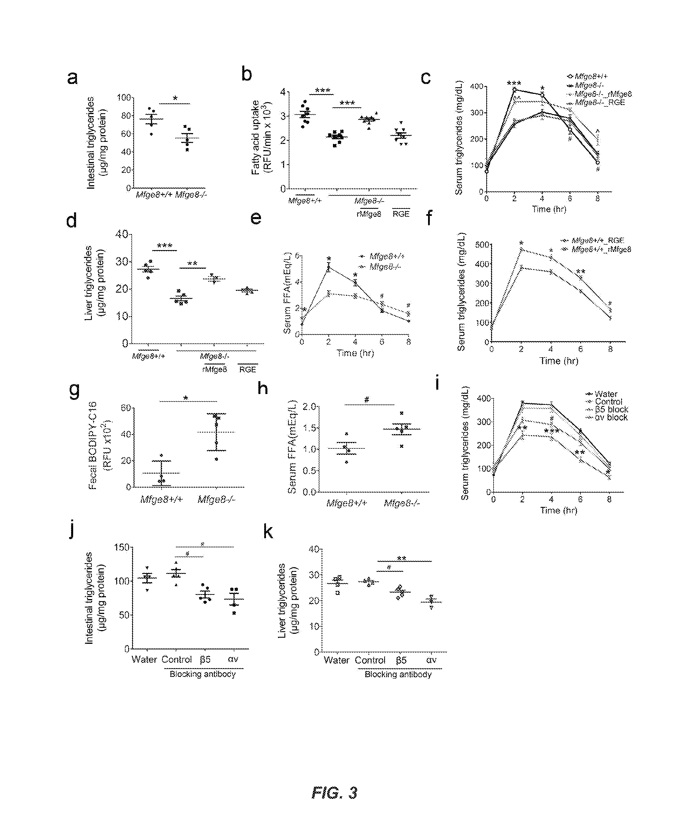 Milk fat globule epidermal growth factor 8 regulates fatty acid uptake