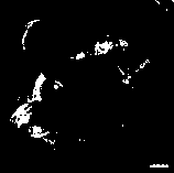 A kind of micro-propagation method of long-beaked Ranunculus Alisma