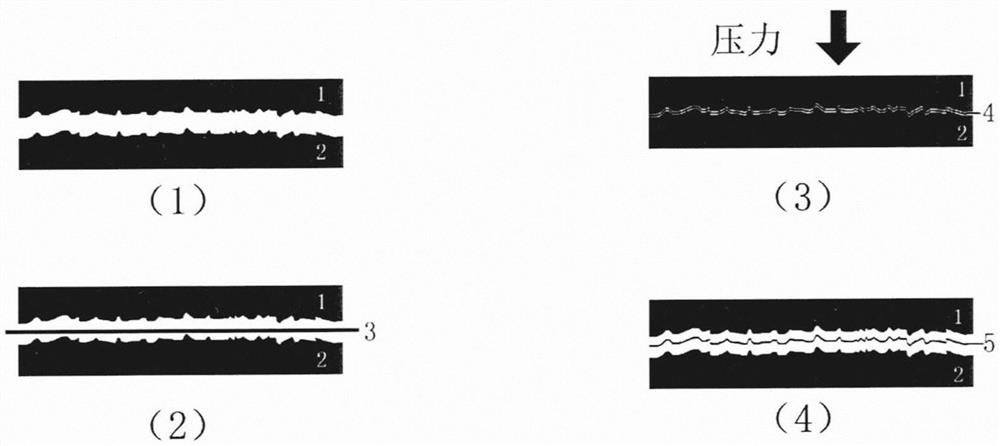 Bionic texture membrane