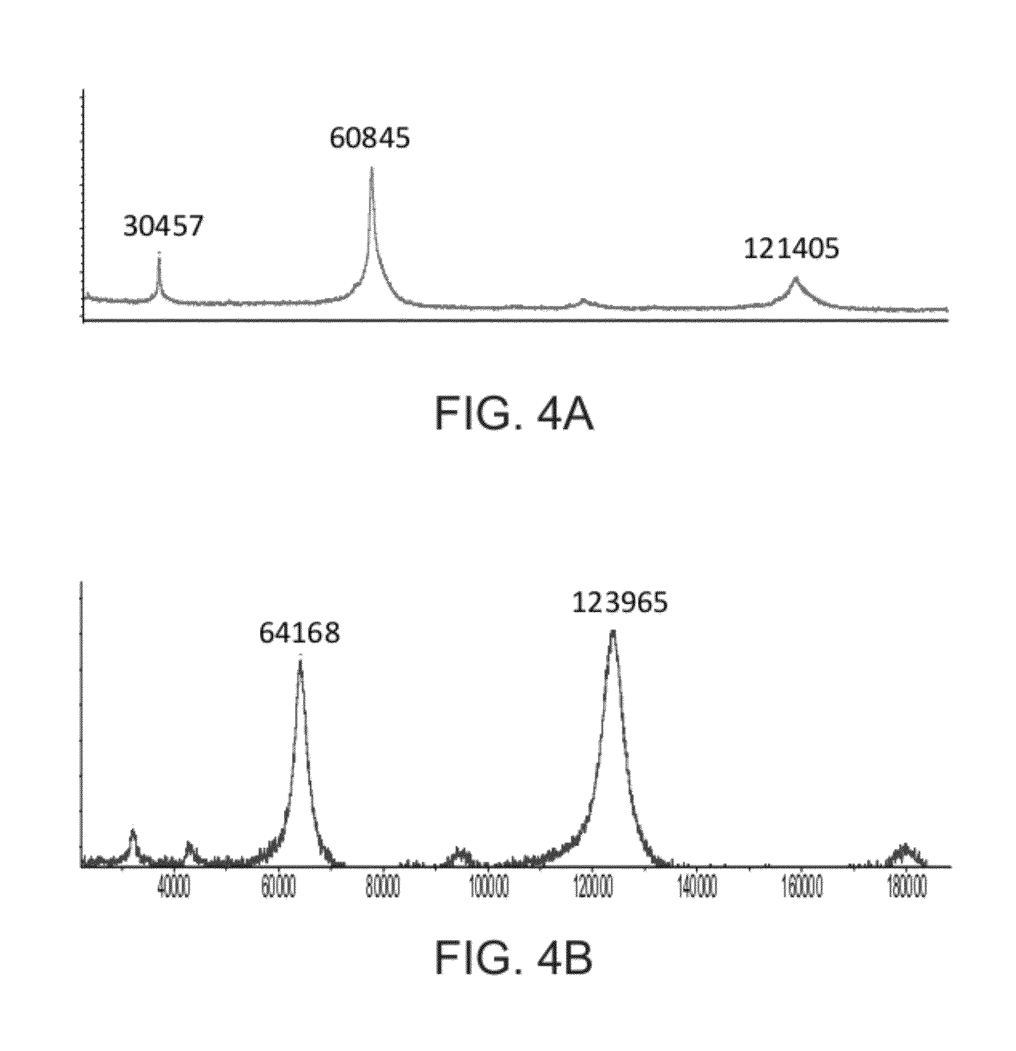 Glucocerebrosidase multimers and uses thereof