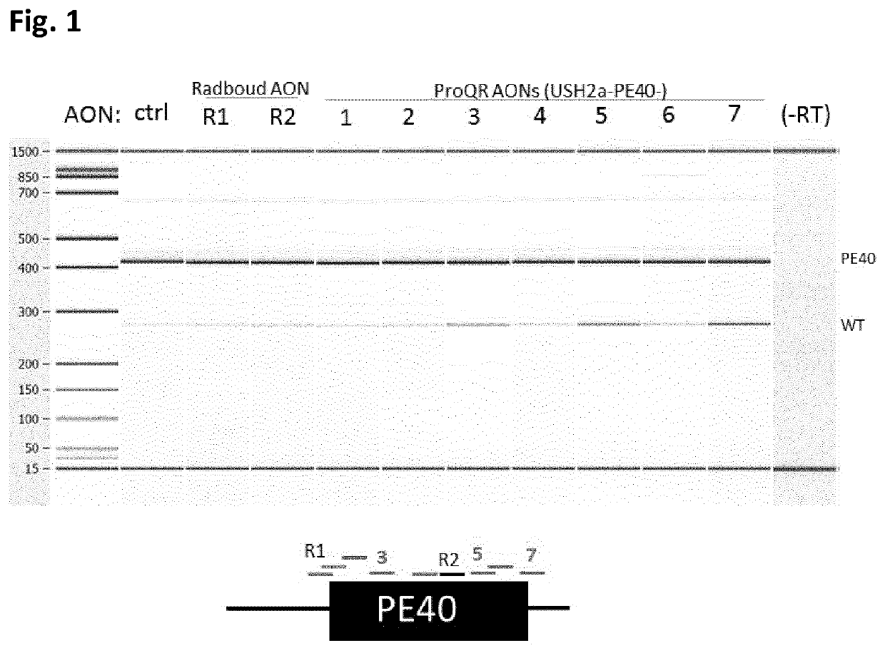 Oligonucleotides to treat eye disease