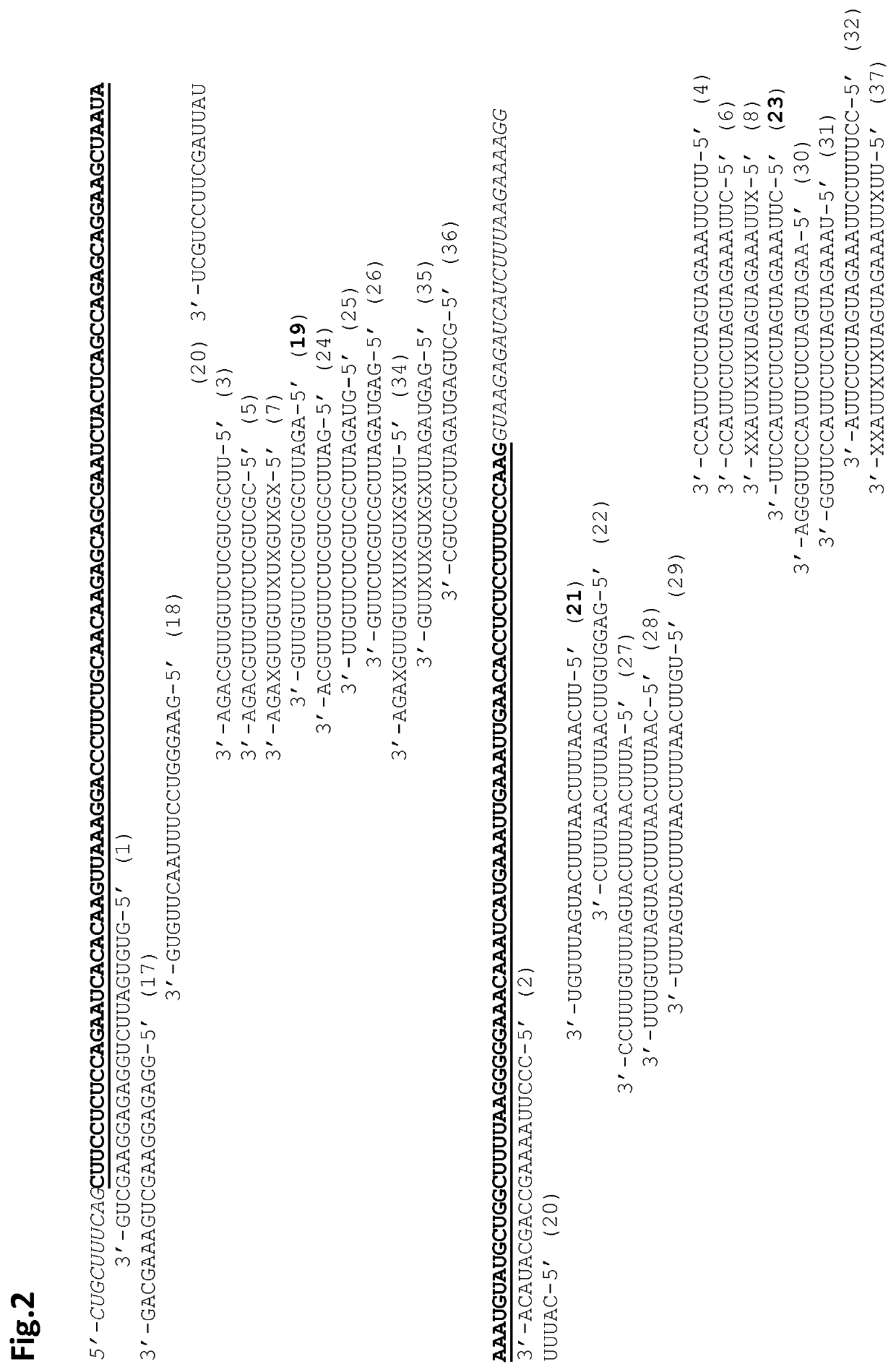 Oligonucleotides to treat eye disease