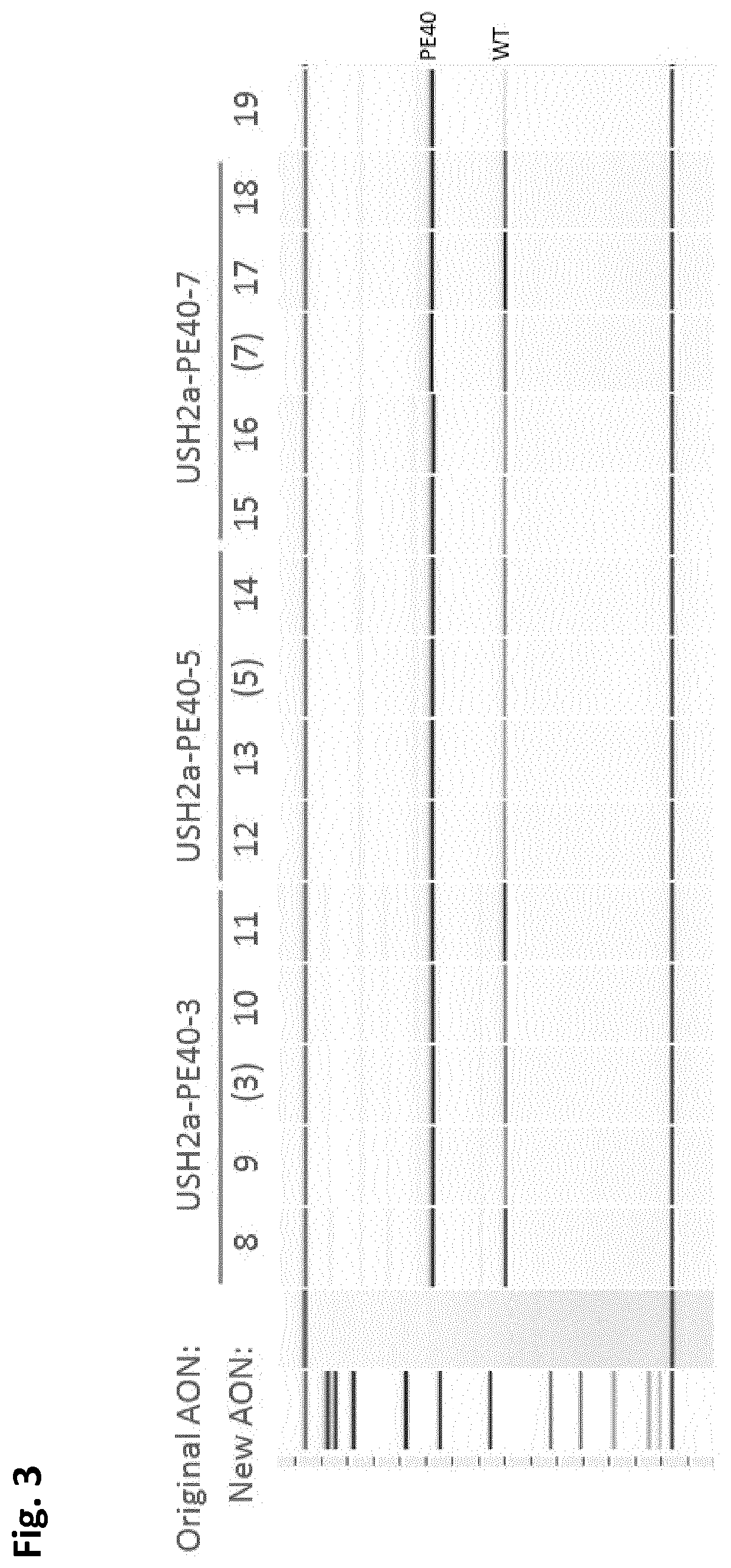 Oligonucleotides to treat eye disease