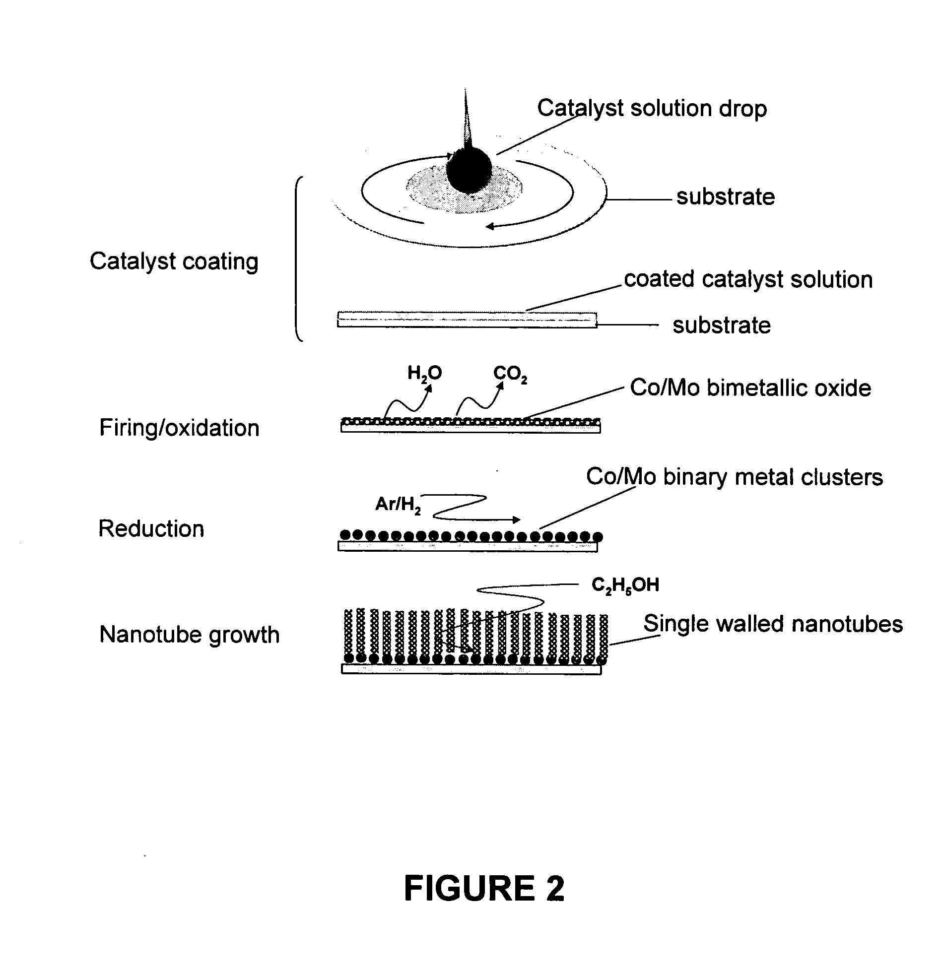 Array of single-walled carbon nanotubes and process for preparaton thereof