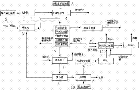 Ammonium sulfate production system and preparation method thereof