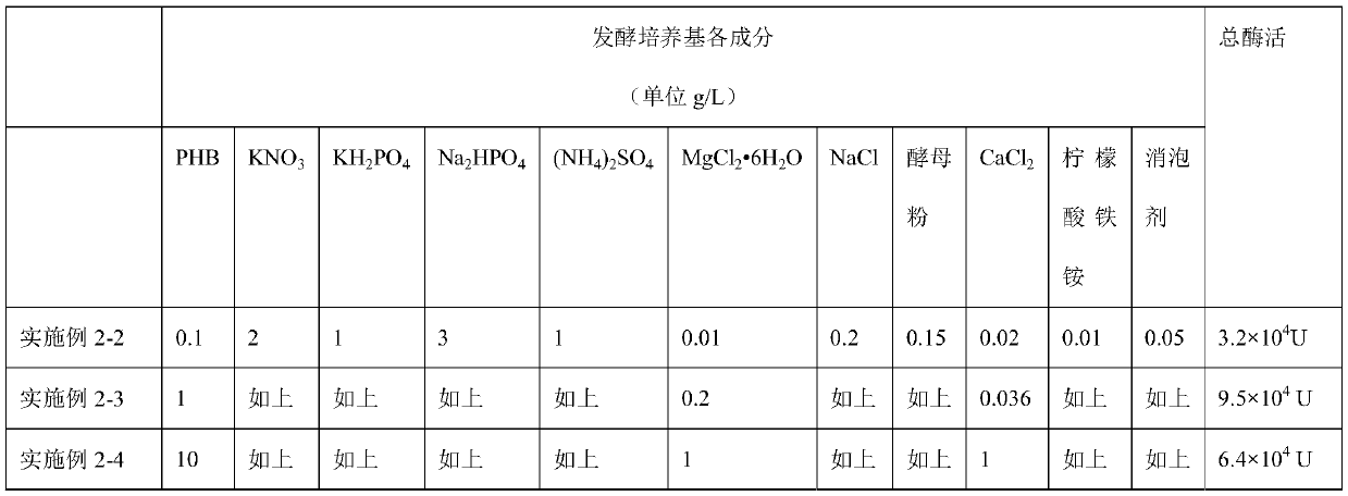 Method for producing high-purity (R)-(-)-3-hydroxybutyric acid by adopting enzymatic method