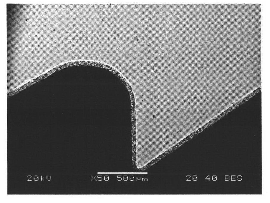 Diamond composite plating layer