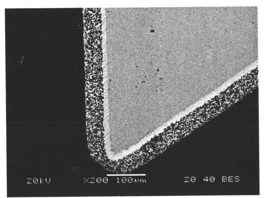 Diamond composite plating layer