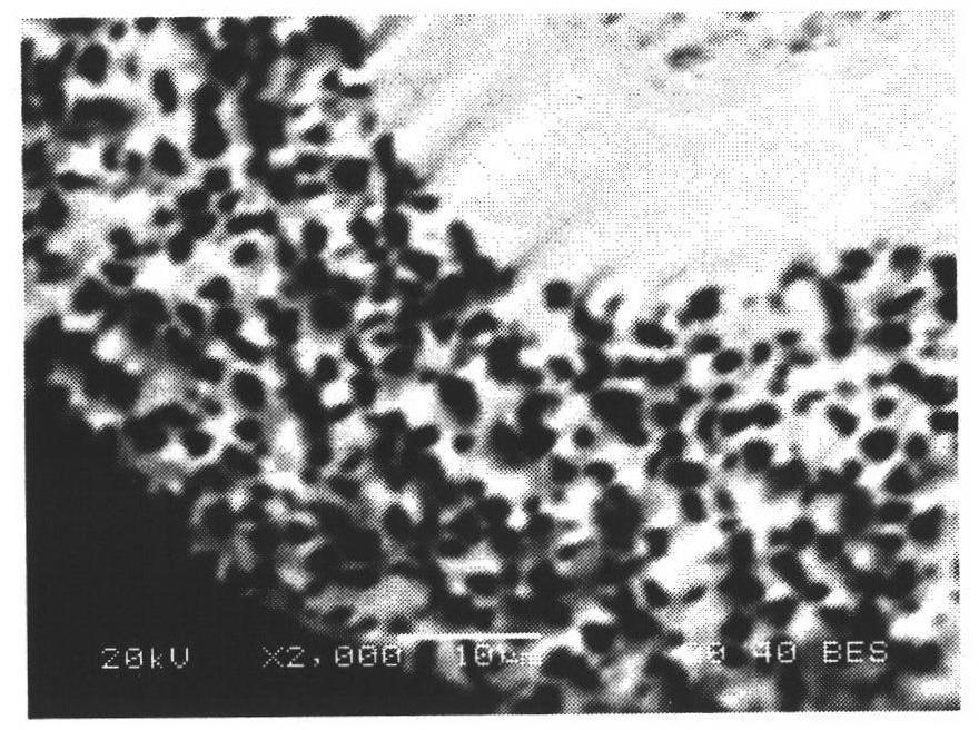 Diamond composite plating layer