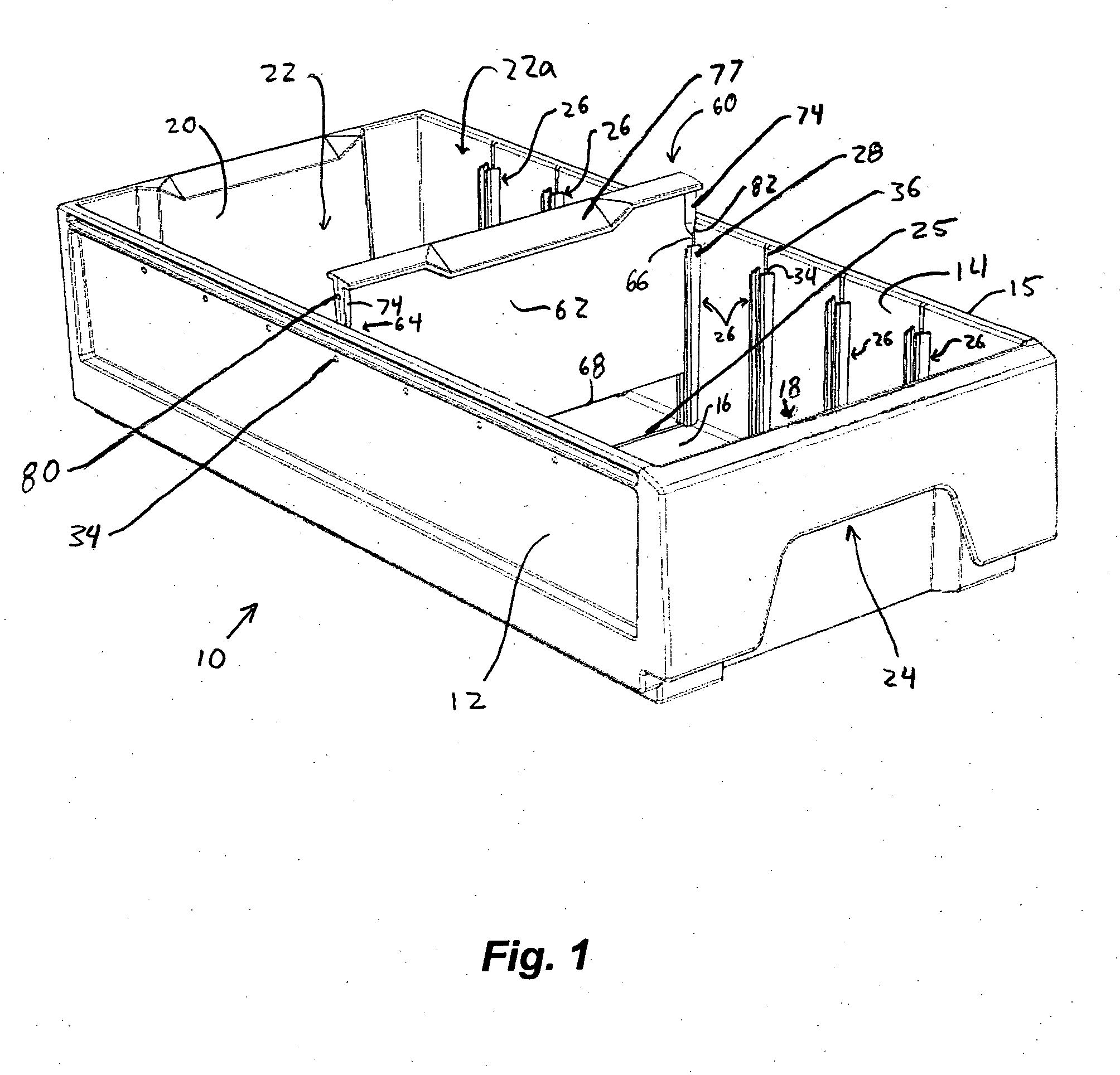 Container with removable divider