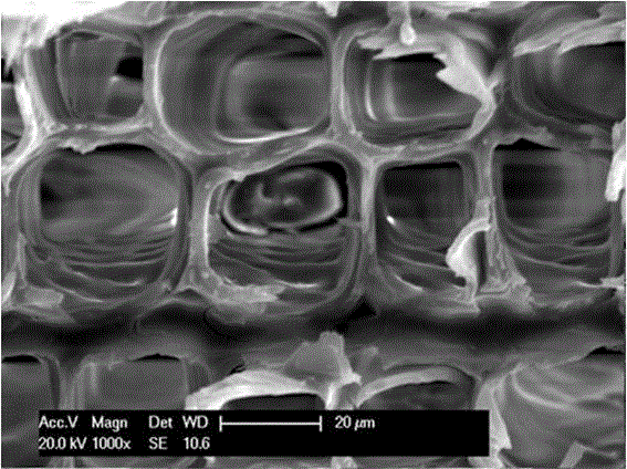 A rapid method for preparing silica/wood composites