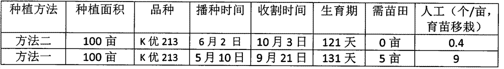 Rice direct-sowing high-yield planting method