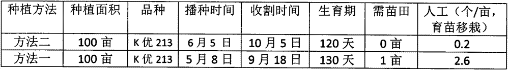 Rice direct-sowing high-yield planting method