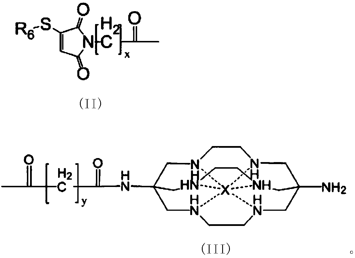 A Molecular Imaging Probe with Dendrimer as the Core and Its Application