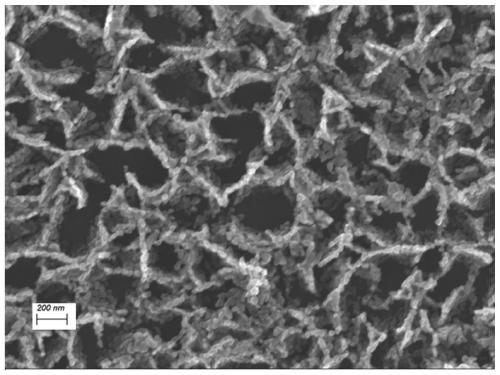 A kind of ultraviolet photodetector and preparation method thereof based on zno nanogrid