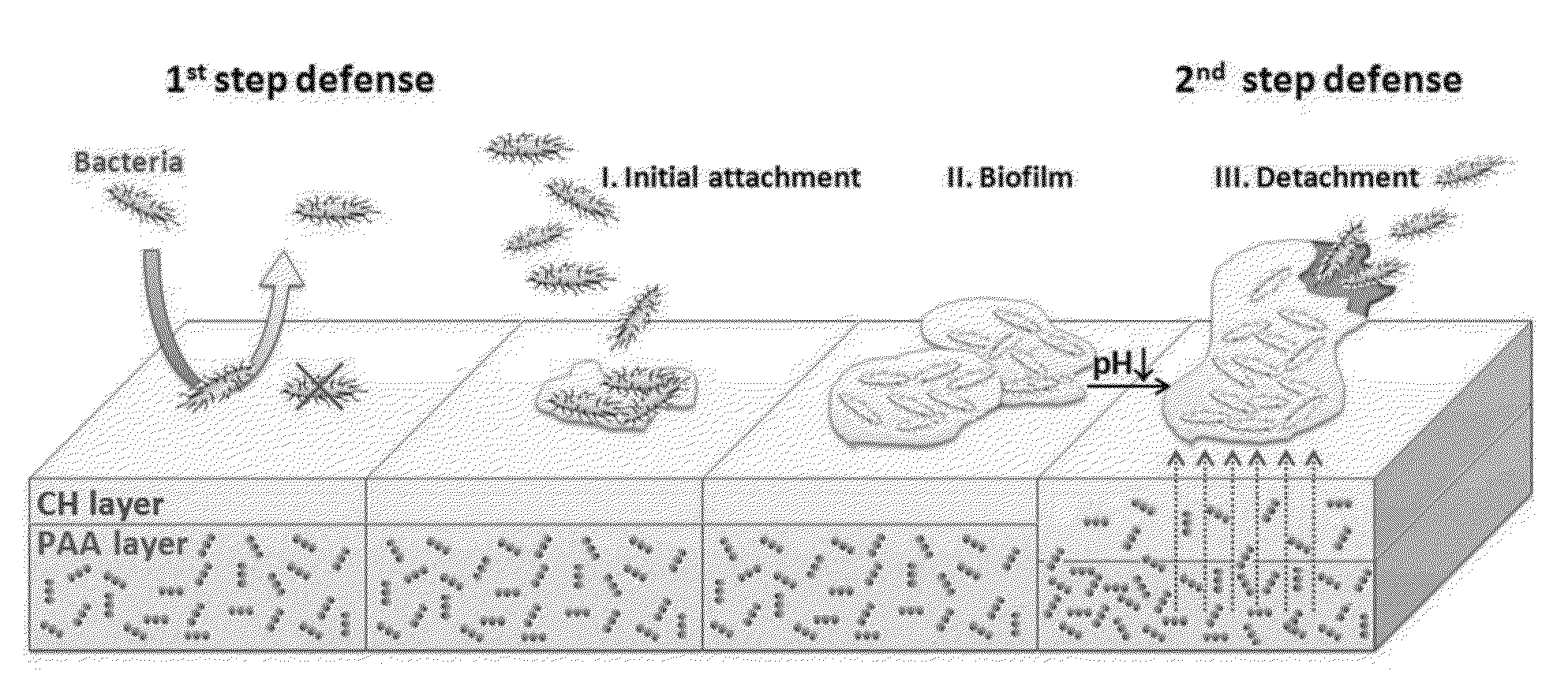 Antimicrobial polymer layers