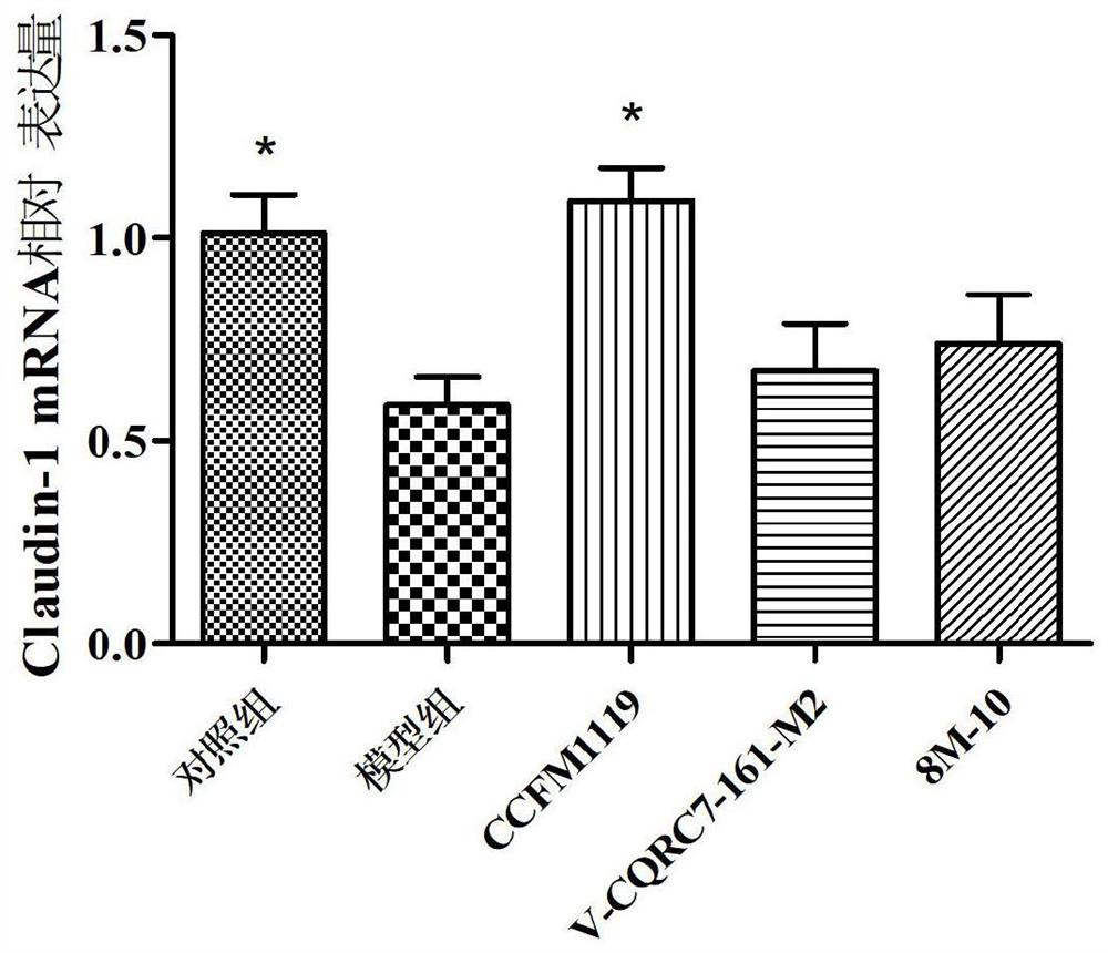 Medicine for relieving alcoholic intestinal injury