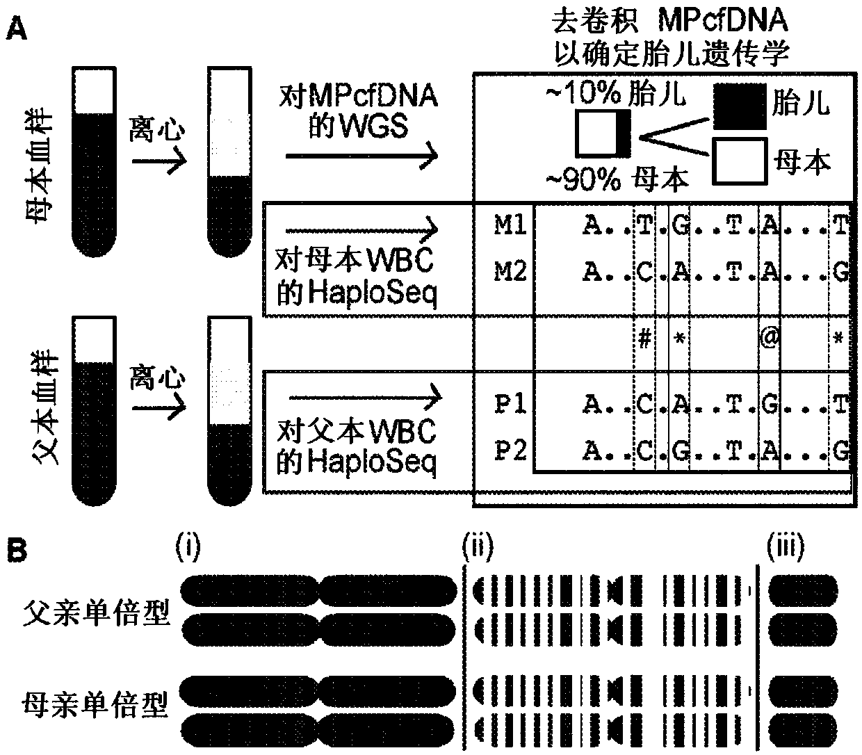 Accurate molecular deconvolution of mixtures samples