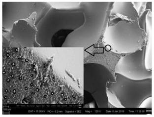 An improved ABR reaction device and start-up method for suppressing acidification