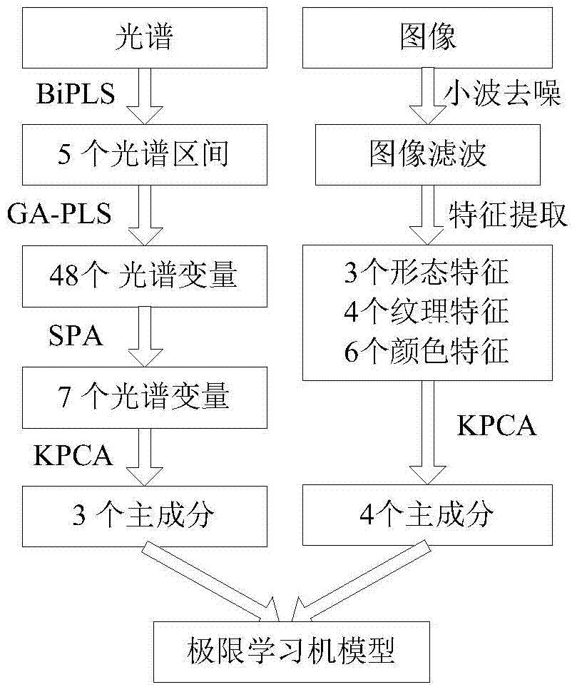 Method for detecting canopy moisture content of leaf vegetable crops