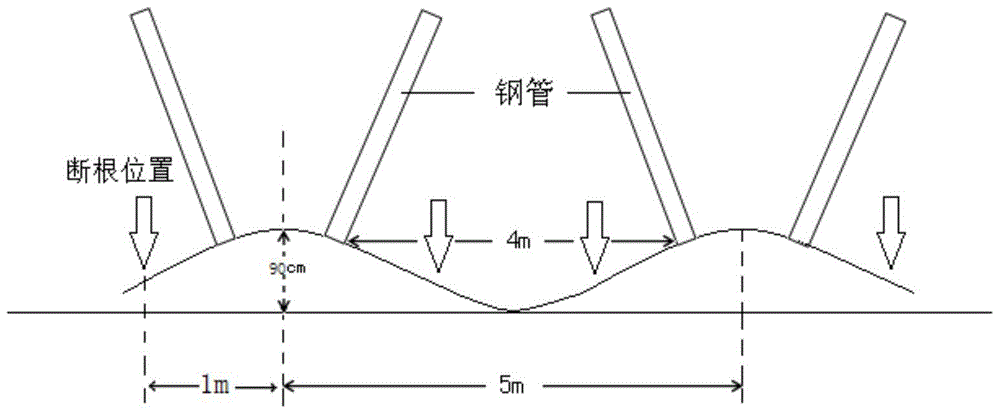 A kind of water-saving cultivation method of peach tree