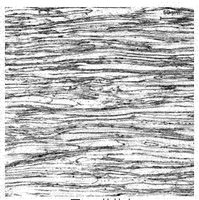 Method for displaying two-phase grain boundary of duplex stainless steel