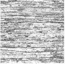 Method for displaying two-phase grain boundary of duplex stainless steel