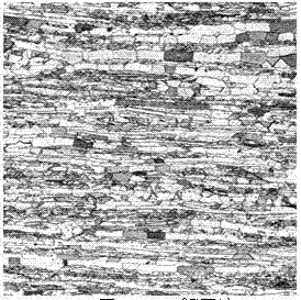 Method for displaying two-phase grain boundary of duplex stainless steel