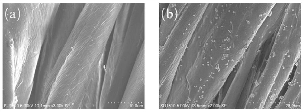 Organic-inorganic nanoparticle composite water repellent, preparation method and application method thereof