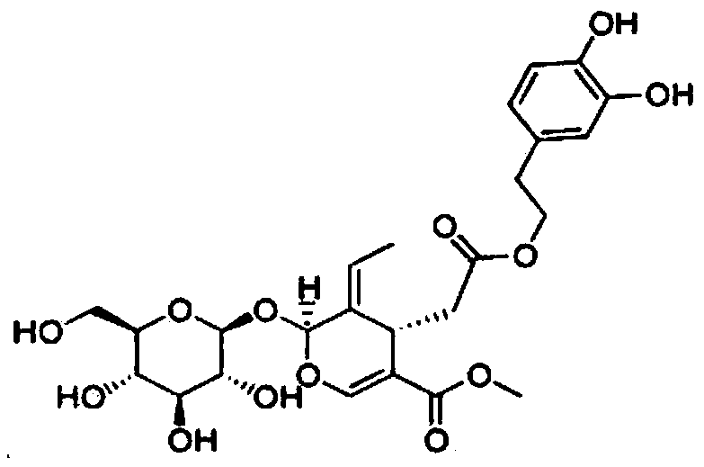 Cosmetic composition containing oleuropein for strengthening the scalp and improving condition